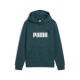 суичър,детски,блузи,puma,ess+,2,col,big,logo,hoodie,cold,green,(green)