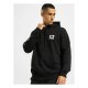 блуза,мъжки,пуловери,dangerous,dngrs,usdots,sweatshirt,black,(black)