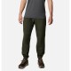 анцуг,мъжки,панталони,columbia,steens,mountain™,joggers,green,(greenscape)