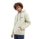 суичър,мъжки,пуловери,hydroponic,lb,delta,hoodie,beige,(moss,grey)