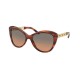 слънчеви,очила,слънчеви,очила,ralph,lauren,rl8184,500718,woman,sunglasses,brown,(brown)