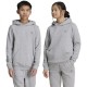 суичър,детски,блузи,adidas,originals,ix5285,hoodie,grey