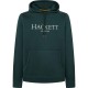 суичър,мъжки,пуловери,hackett,hm581289,hoodie,green