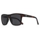 слънчеви,очила,слънчеви,очила,hanukeii,breezy,sunglasses,golden,(tortoise,black)