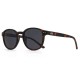 слънчеви,очила,слънчеви,очила,hanukeii,guincho,sunglasses,golden,(tortoise,black)