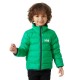 яке,детски,якета,и,палта,helly,hansen,dalen,reversible,jacket,green