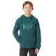 суичър,детски,блузи,helly,hansen,daybreaker,hoodie,green,(dark,creek)