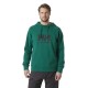 суичър,мъжки,пуловери,helly,hansen,logo,2.0,hoodie,emerald,(green)