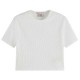 тениска,мъжки,тениски,дамски,тениски,scotch,&,soda,179225,short,sleeve,t,shirt,white,(white)