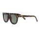 слънчеви,очила,слънчеви,очила,chpo,brand,torö,x,sunglasses,golden,(turtle,brown)