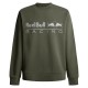 блуза,мъжки,пуловери,red,bull,racing,team,logo,crew,sweatshirt,green,(regent,green)