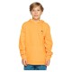суичър,детски,блузи,quiksilver,basic,hoodie,blazing,orange,(orange)