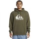 суичър,мъжки,пуловери,quiksilver,big,logo,hoodie,grape,leaf,(green)