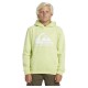 суичър,детски,блузи,quiksilver,big,logo,hoodie,shadow,lime,(green)