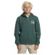 суичър,детски,блузи,quiksilver,graphic,hoodie,forest,(green)