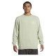 блуза,мъжки,пуловери,quiksilver,graphic,sweatshirt,green,(desert,sage)