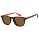 слънчеви,очила,слънчеви,очила,havaianas,botafogocs12j,sunglasses,brown