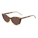 слънчеви,очила,слънчеви,очила,jimmy,choo,nadias08670,woman,sunglasses,havana,brown,(brown)