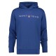 суичър,мъжки,пуловери,gant,printed,graphic,hoodie,blue,(vintage,blue)