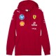 суичър,мъжки,пуловери,puma,sf,team,hoodie,dark,cherry,(red)
