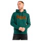 суичър,мъжки,пуловери,lonsdale,classic,ll002,hoodie,green,(bottle,green)
