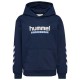 суичър,детски,блузи,hummel,logo,hoodie,dress,blues,(blue)