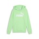 суичър,детски,блузи,puma,684909,ess,nº1,logo,hoodie,green,(spring,fern)