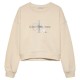 суичър,детски,блузи,calvin,klein,glitter,monologo,hoodie,beige