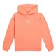 суичър,детски,блузи,o´neill,back,print,hoodie,orange