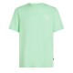 тениска,мъжки,тениски,o´neill,box,logo,short,sleeve,t,shirt,mildrew,mint,(green)