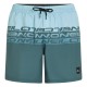 бански,гащета,мъжки,бански,костюми,o´neill,cali,stripe,16´´,swimming,shorts,blue,(blue,upside,down)