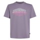 тениска,мъжки,тениски,o´neill,gradient,short,sleeve,t,shirt,storm,(purple)