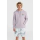 суичър,мъжки,пуловери,o´neill,og,sun,hoodie,purple