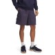 къси,панталони,мъжки,панталони,under,armour,holiday,vibe,shorts,purple,(midnight,navy,purple,prime,metallic,gold)