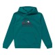 суичър,детски,блузи,quiksilver,big,logo,hoodie,teal,green,(green)