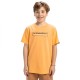 тениска,детски,тениски,quiksilver,ev,sun,dagger,short,sleeve,t,shirt,chamois,(yellow)