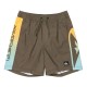 бански,гащета,детски,бански,костюми,quiksilver,everyday,holmes,volley14,swimming,shorts,grape,leaf,holmes,(green)