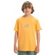 тениска,детски,тениски,quiksilver,evo,nature,magic,short,sleeve,t,shirt,yellow,(chamois)