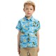тениска,детски,тениски,quiksilver,safe,paradise,short,sleeve,t,shirt,blue,(blue,naturama,32x32)