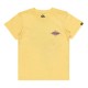 тениска,детски,тениски,quiksilver,beach,blast,short,sleeve,t,shirt,yellow,(popcorn)