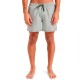 бански,гащета,мъжки,бански,костюми,quiksilver,everyday,deluxe,volley,15´´,swimming,shorts,grey,(grape,leaf)