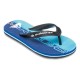 джапанки,детски,сандали,и,чехли,quiksilver,molokai,art,25,flip,flops,nebulas,blue,wordblock,(blue)