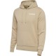 суичър,мъжки,пуловери,hummel,motion,co,hoodie,brown