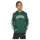 суичър,детски,блузи,adidas,codes,collegiate,graphic,hoodie,collegiate,green