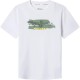 тениска,детски,тениски,pepe,jeans,felix,short,sleeve,t,shirt,white