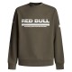 блуза,мъжки,пуловери,red,bull,racing,dynamic,fade,sweatshirt,green