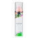 хигиена,тяло,exotiq,3801004,erotic,massage,oil,100ml,clear