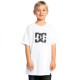 тениска,детски,тениски,dc,shoes,star,glow,short,sleeve,t,shirt,white,(white)