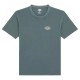 тениска,мъжки,тениски,dickies,service,station,short,sleeve,t,shirt,stormy,weather,(green)