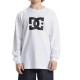 тениска,мъжки,тениски,dc,shoes,star,hls,long,sleeve,t,shirt,white